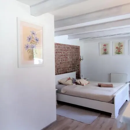 Zielona Roza 瓦姆比耶尔兹采