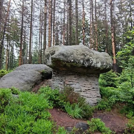 Zielona Roza