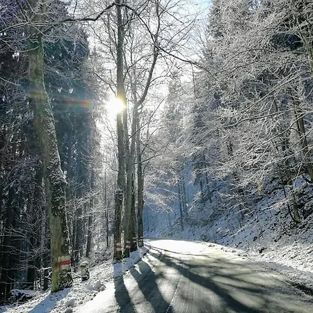 农家乐 Zielona Roza