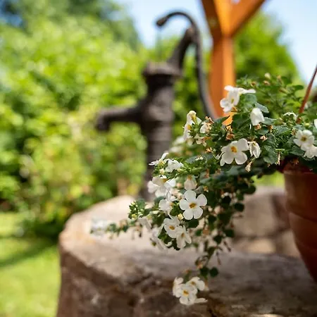 Zielona Roza * Вамбежице