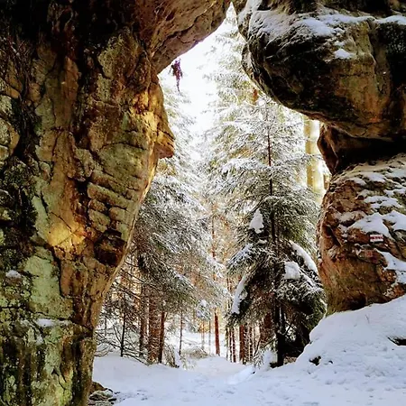 Zielona Roza Wambierzyce