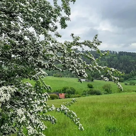 Gospodarstwo agroturystyczne Zielona Róża Wambierzyce