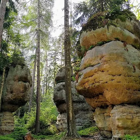 Zielona Roza Lantgård Wambierzyce