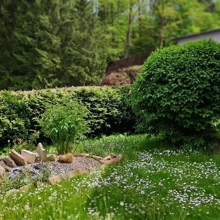 Zielona Roza * Вамбежице