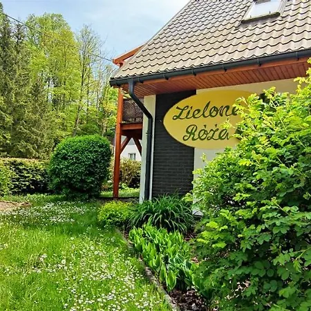 Zielona Roza 瓦姆比耶尔兹采