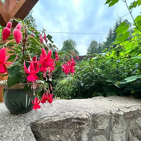 Zielona Roza Фермерский дом Вамбежице