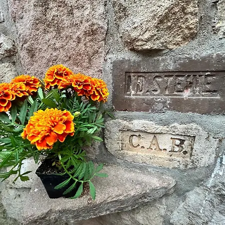 Фермерский дом Zielona Roza *