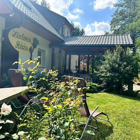 Zielona Roza 瓦姆比耶尔兹采