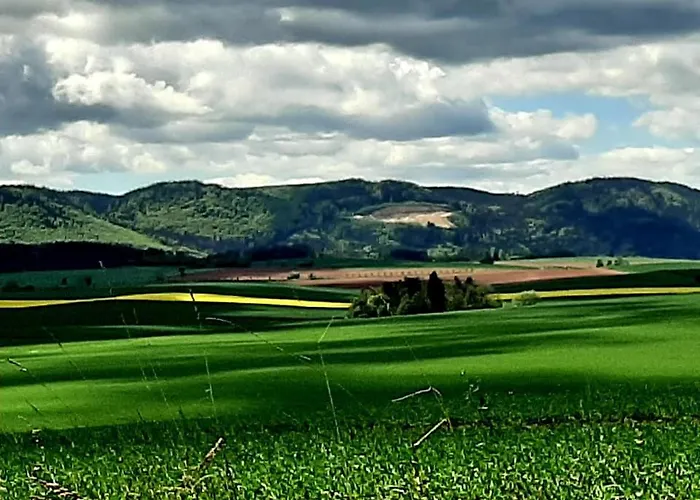 Roza ファームステイ