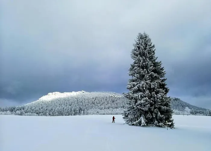 Roza ファームステイ バンビエジツェ
