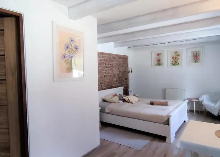 Roza バンビエジツェ