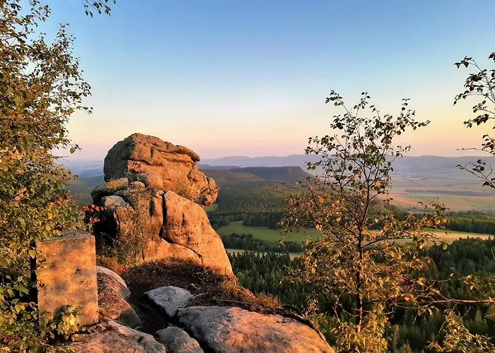 Roza ファームステイ