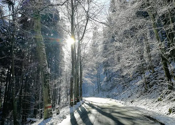 Vakantieboerderij Roza