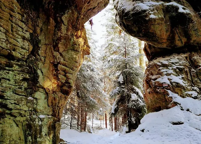 Roza バンビエジツェ