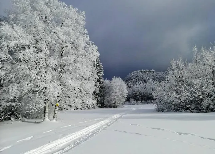 ファームステイ Roza