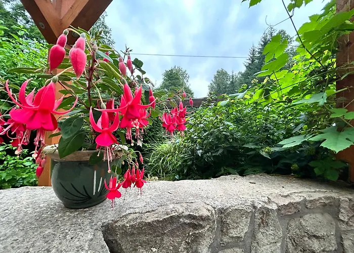 Roza Vakantieboerderij Wambierzyce