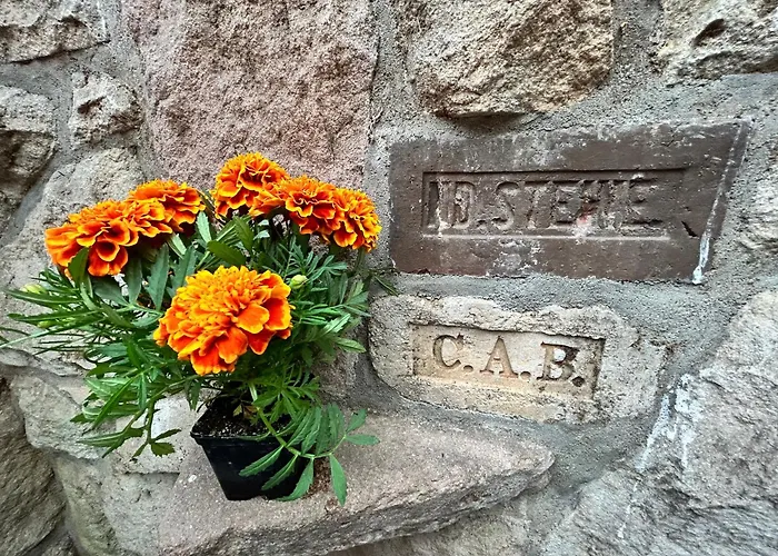 ファームステイ Roza *